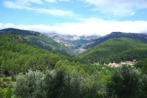ALCANTARILLA
